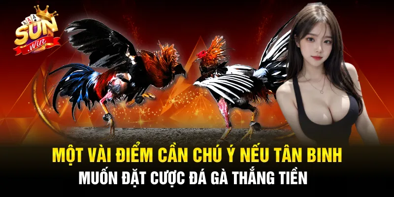 Hướng Dẫn Toàn Diện Về Quy Trình Rút Tiền Tại SUNWIN – Nhanh Chóng, An Toàn 💰🎯 Hướng Dẫn Toàn Diện Về Quy Trình Rút Tiền Tại SUNWIN – Nhanh Chóng, An Toàn 💰🎯